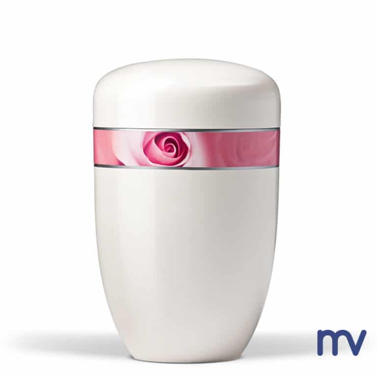 This beautiful creamy white urn made in steel  suits any funeral, the decorative ribbon with rose blossom provides an extra touch.